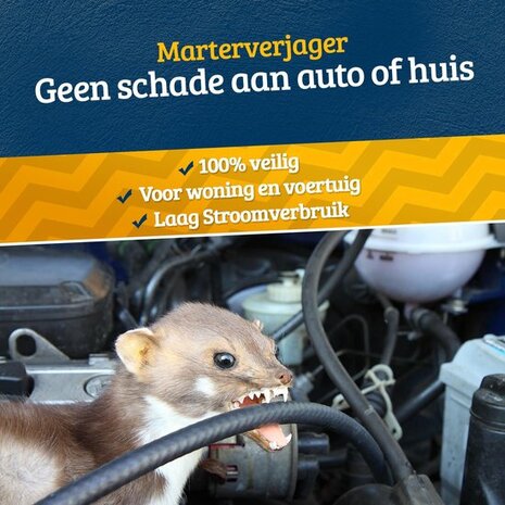 Marterverschikker