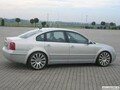 Passat-3B--3BG