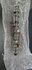 Gebruikte 7640248 307/307 graden 8V mechanisch_
